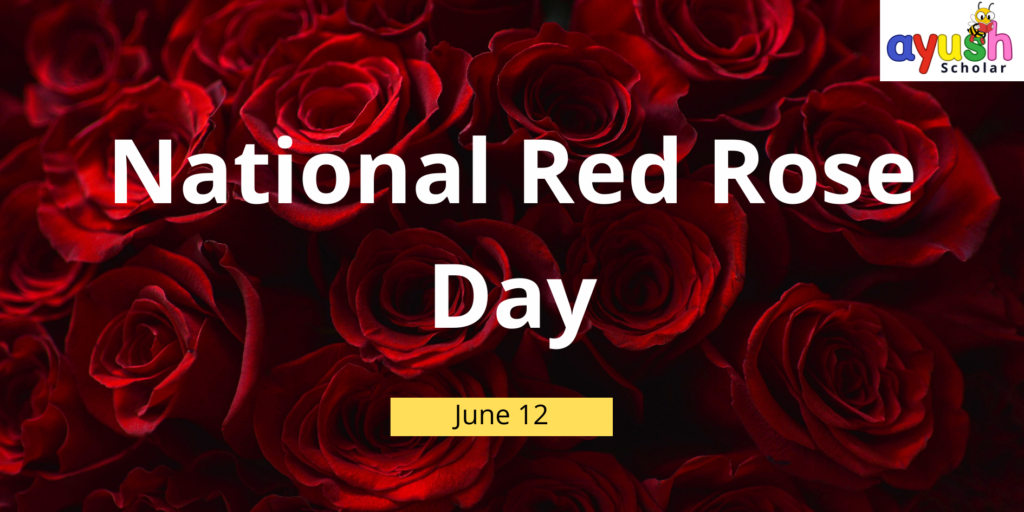 National red rose day june 12 pic